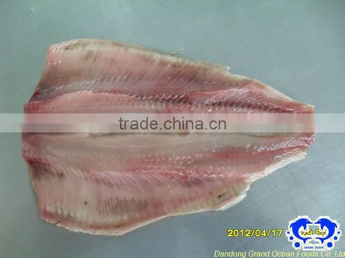 herring fillet IQF seafood
