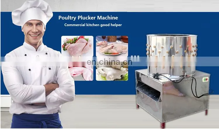 scalder and plucker / machine remove chicken feathers / cock plucker