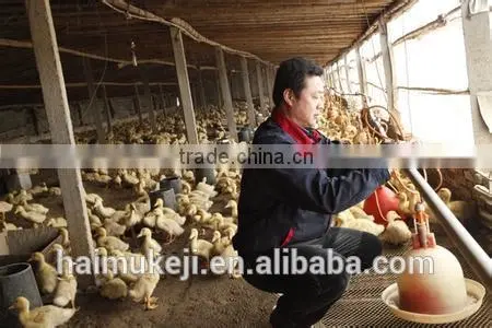 Timeproof Automatic water feeder for chickens/duck feeders