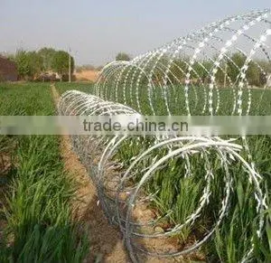 Razor Barbed Wire (manufacturer)