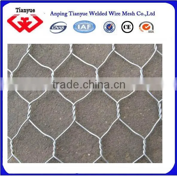 hot dipped galvanized 10X10mm hexagonal chicken wire mesh