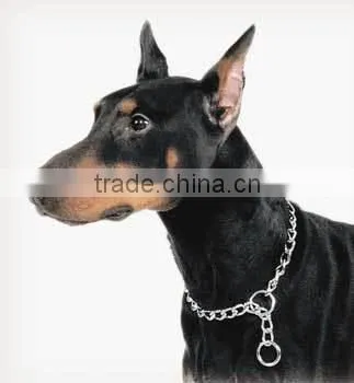 Superb Quality strong stainless steel dog Choker Chain