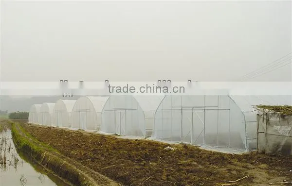 low cost poly tunnel greenhouse for sale