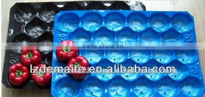 Fresh Tomato Tray Packaging