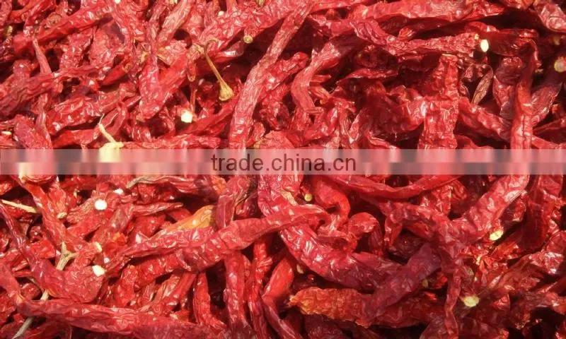 Byadagi red chilli stemless