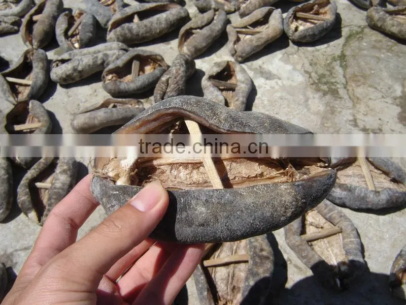 Dried Sea cucumber/ Dried Trepang