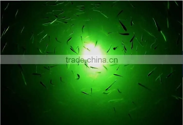 2015 newest design deep water LED underwater fishing light 12V