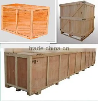 New design and full automatic fresh vegetable and fruit packing machine