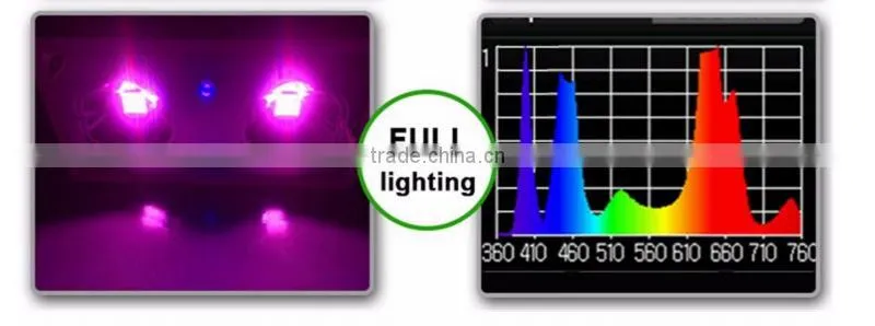 best selling products tiny house hydroponic grow systems Zeus LED plants grow light