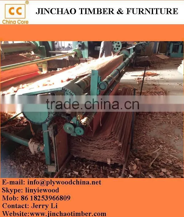wood veneer used for plywood/engineered wood veneer/PLB veneer
