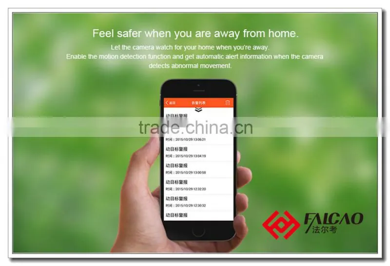 Shenzhen Falcao Night Vision Real-time Remote Viewing Wifi Smart Mini IP Camera
