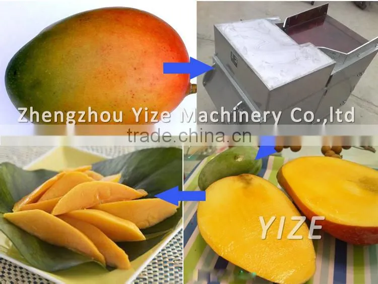 Stainless steel mango pulper ,mango juice extractor machine / tropical fruit pulping machine