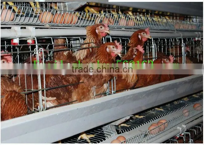 quail battery cages for sale poultry battery cages chicken cages