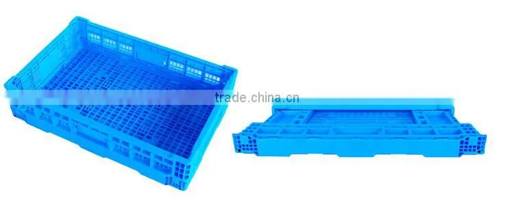 Manufacturing Factory Foldable Tomato Collapsible Plastic Crate