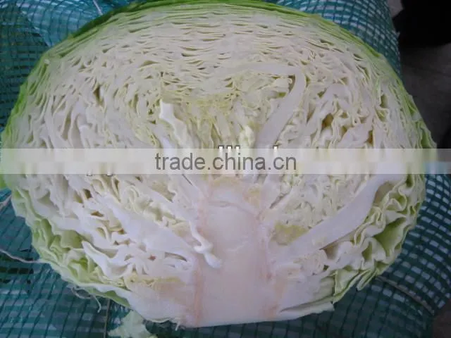 Wholesale price of cabbage