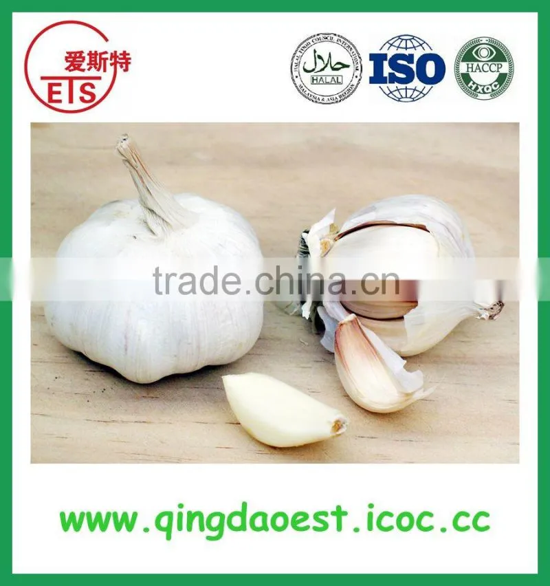 suppiy bulk chinese garlic in carton to Singapore