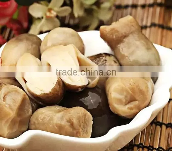 Healthy high quality Canned Straw Mushroom with factory price