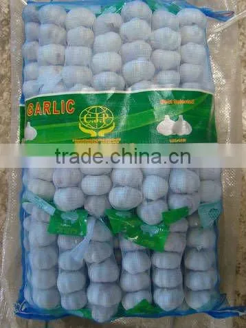 Pure white garlic packed in 10kgs/ctn