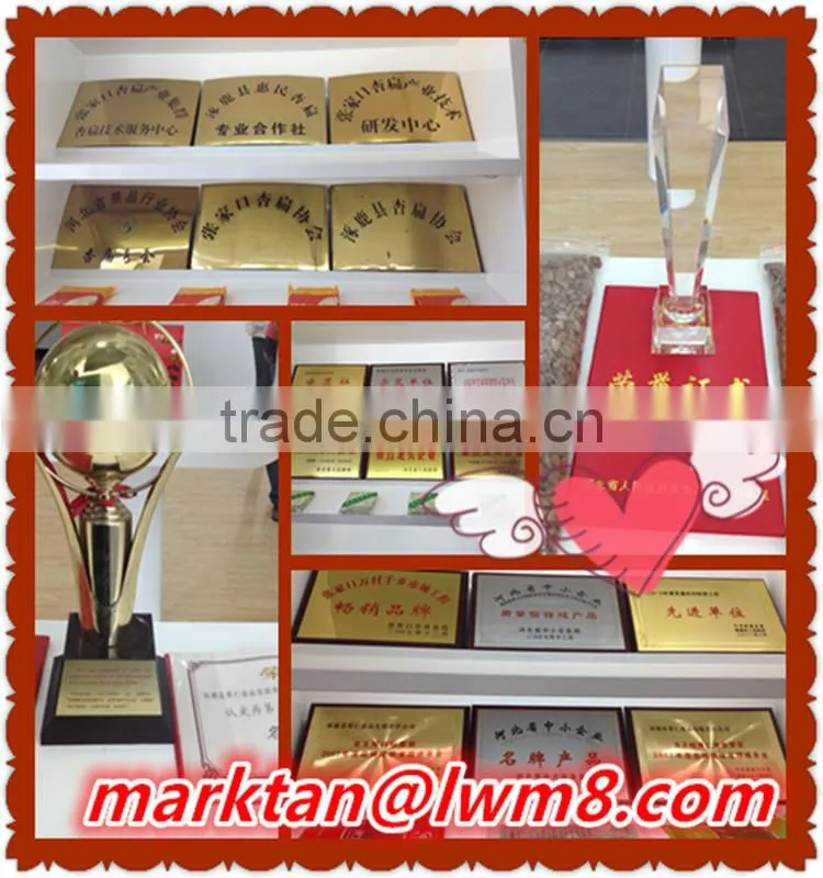 High quality sweet apricot kernels made in china.