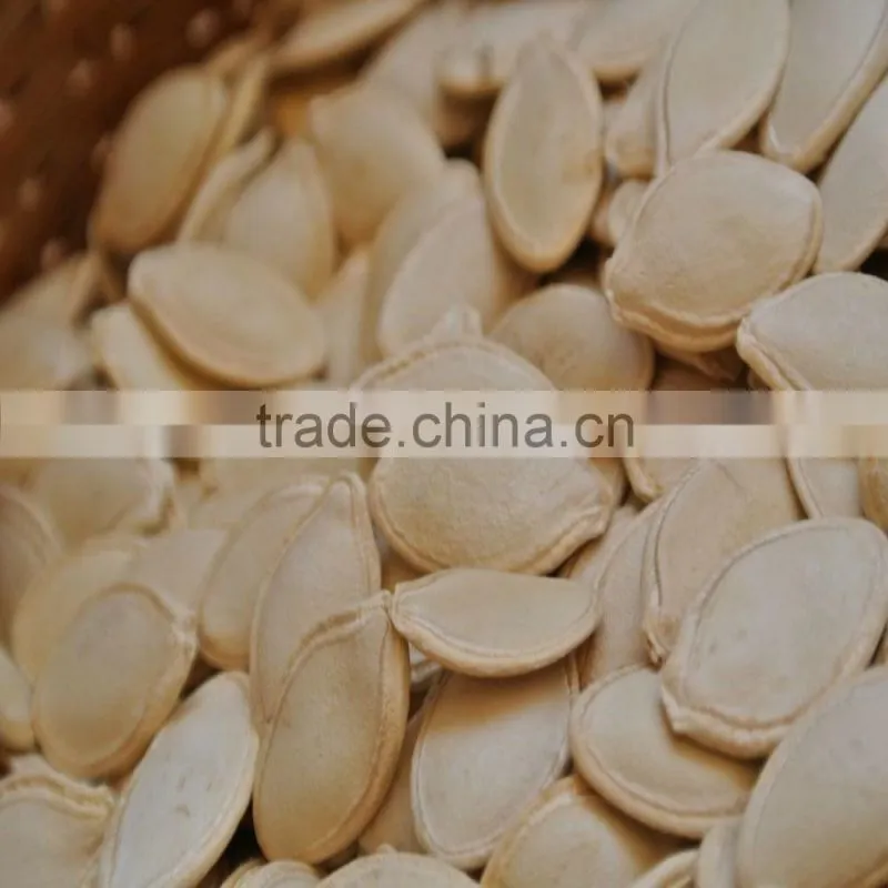Shine skin pumpkin seeds 8-9cm, 9-10cm, 10up