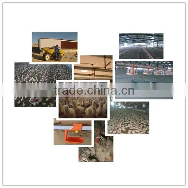 Broiler Chicken Automatic Silo/Pan Feeding/Nipple Drinking System/Fan/Cooling Pad/Fogger/Heater Farm Poultry Equipment For Sale