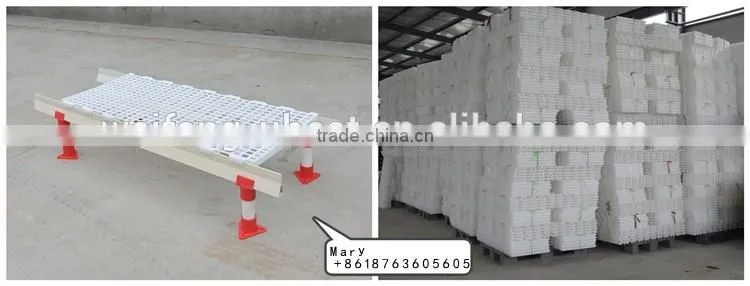 U-BEST full automatic poultry equipment for breeder chicken