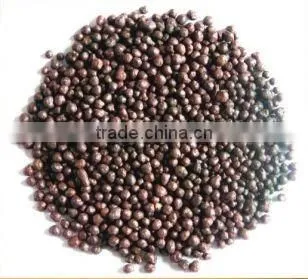 Nutrition Soil for Plants