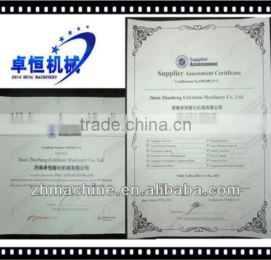 Stainless Steel Automatic Continues Fryer machine