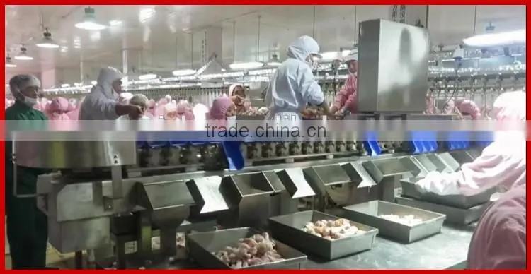 Automatic Chicken Wings and Meats Weight Sorting Machine