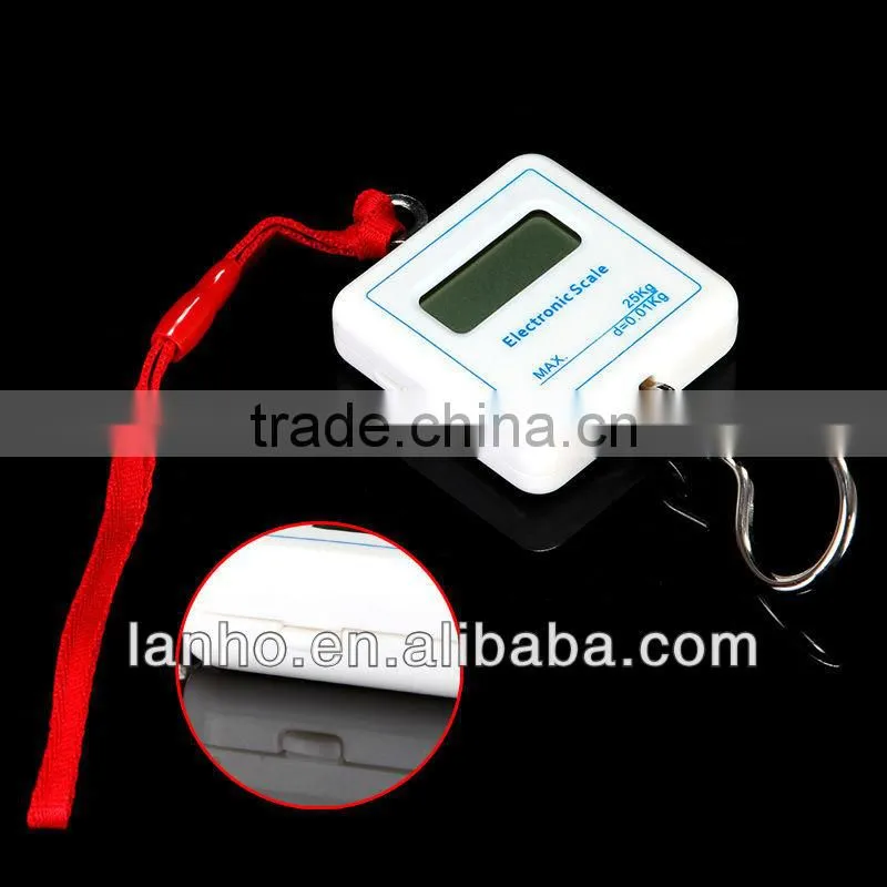 25KG Pocket Portable Digital Electronic Weigh Scale