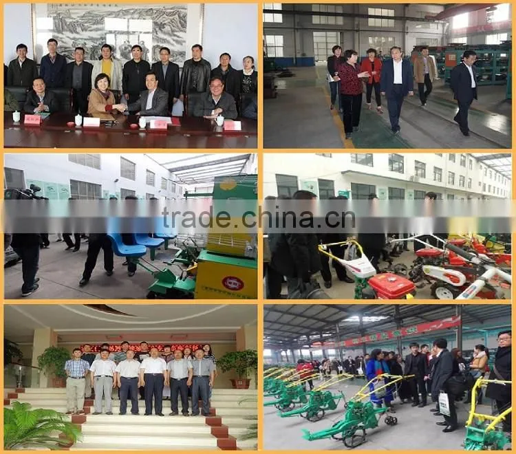 1GVFM-220 two ridges soil preparation machine
