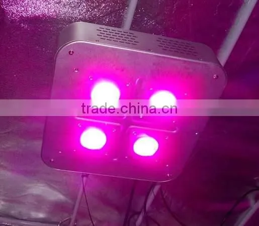 U.S.A. market 300W COB LED grow light for hydroponic growing systems Vanq classical