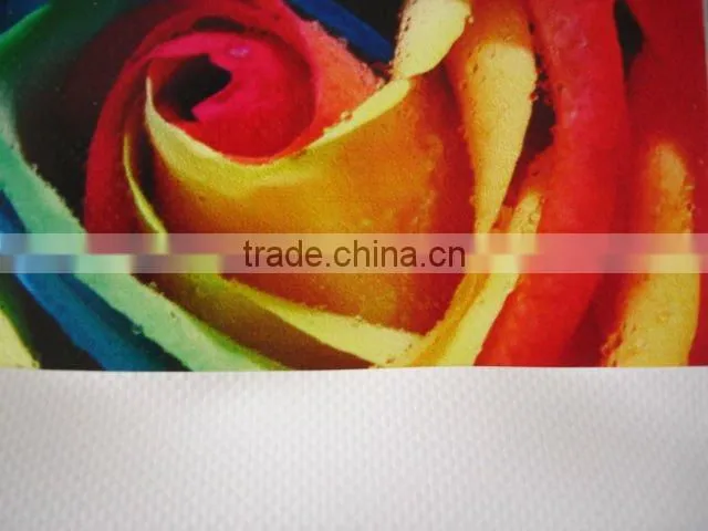 17.5 oz pvc flex banner coated 200*500 18*12 frontlit