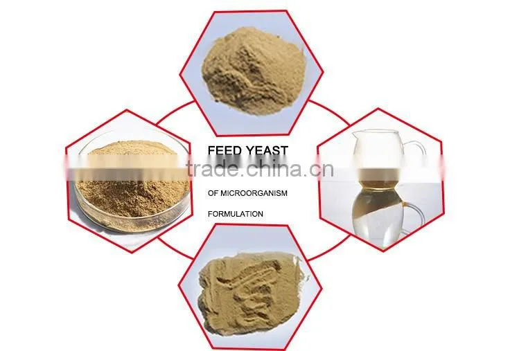 yeast extract powder feed grade feed yeast