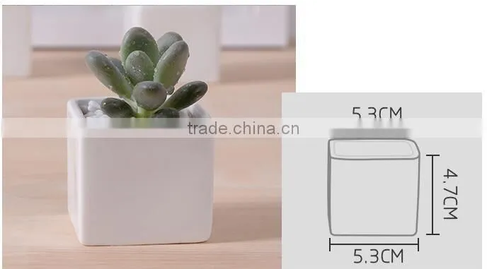 Indoor 2 inch small rectangular white ceramic planters for succulents