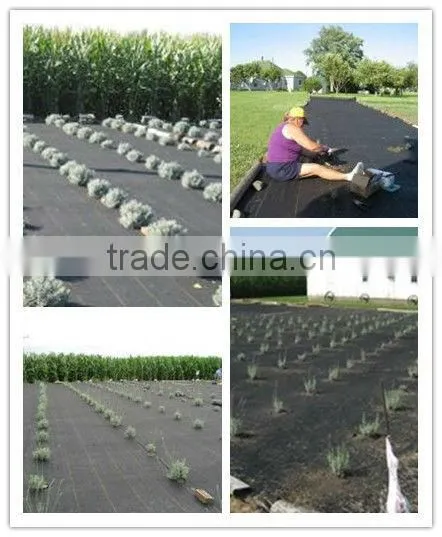 3.0oz Woven Geotextiles for Weed Suppression