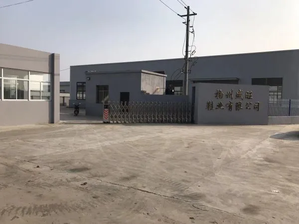 Shengwang Shoes Co.,Ltd. company overview - view 1