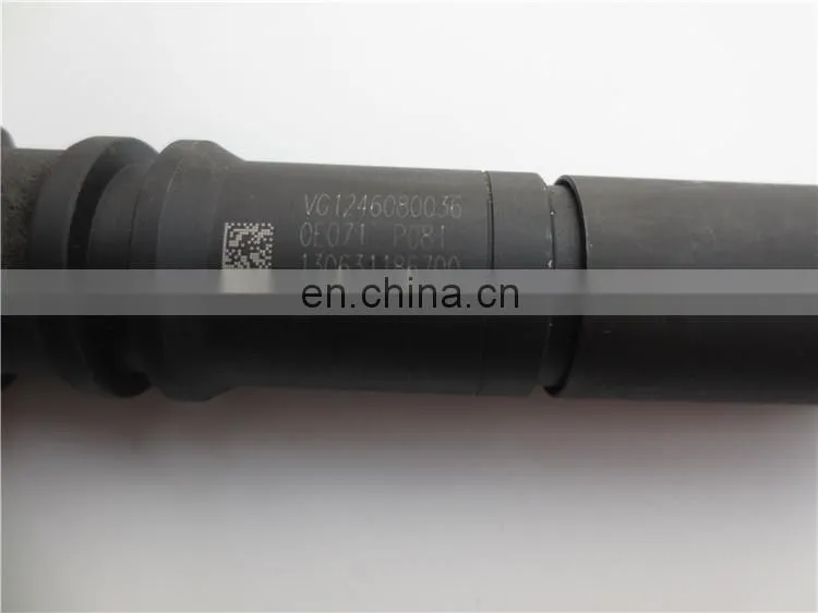 Genuine Sinotruk HOWO Truck D12 Engine Parts VG1246080036 Fuel Injector