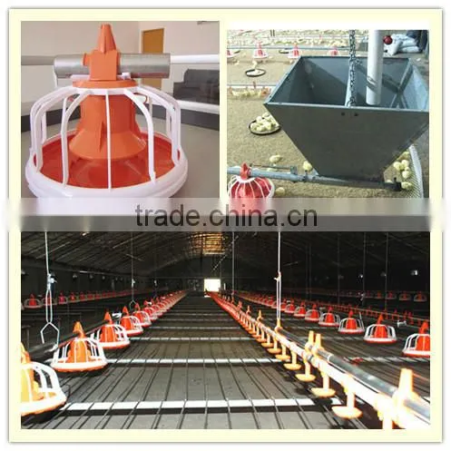 Broiler Feeding System