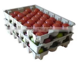 molded pulp packaging Industrial Packaging tray