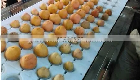 peach pitting and half cutting machine