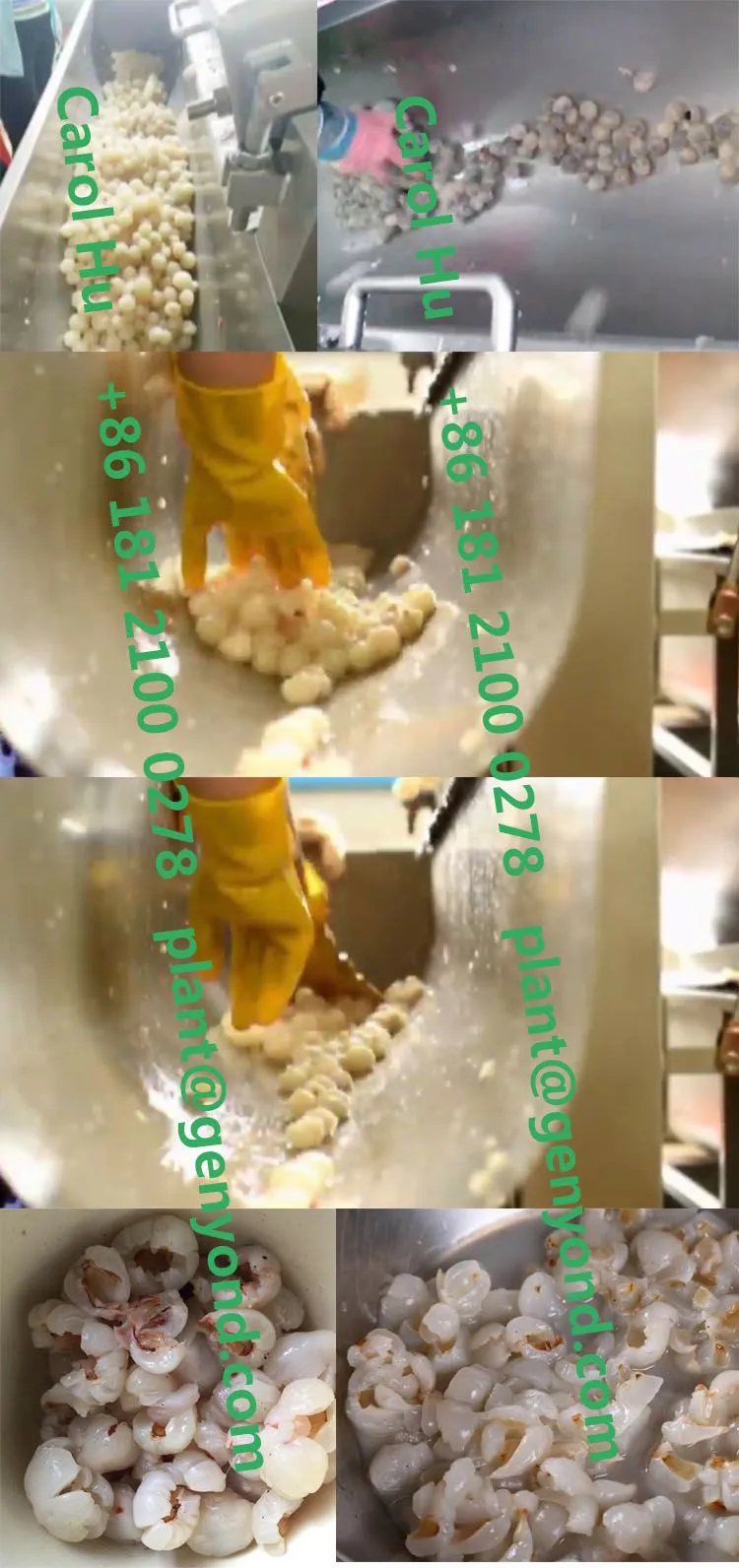 Lichi Lichee Leechee Litchi Lychee Peeling Seed Removing Machine