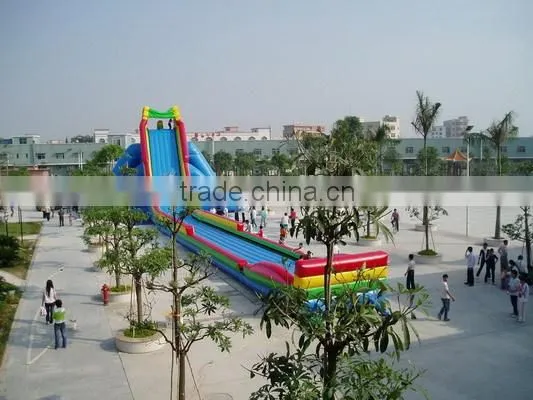New Point inflatable water slides for summer,giant inflatable slider,inflatable water slides for kids