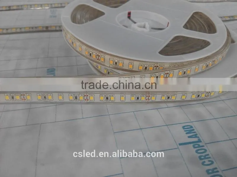 24v led light SMD 2835 120D 5m/roll IP68 ropes led underwater lights