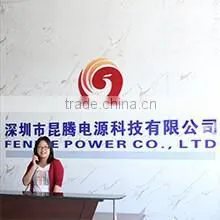 Shenzhen Fenice Power Technology Co., Ltd. company overview - view 2
