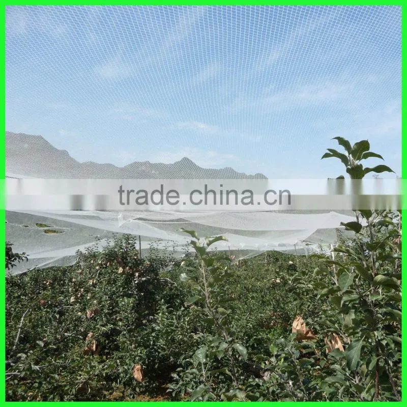 PE plastic UV treated guard hail net for grape plantation