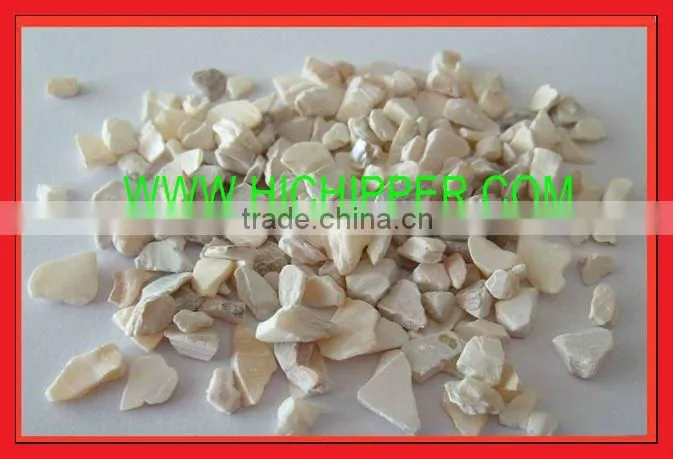 sea shell chips by polishing