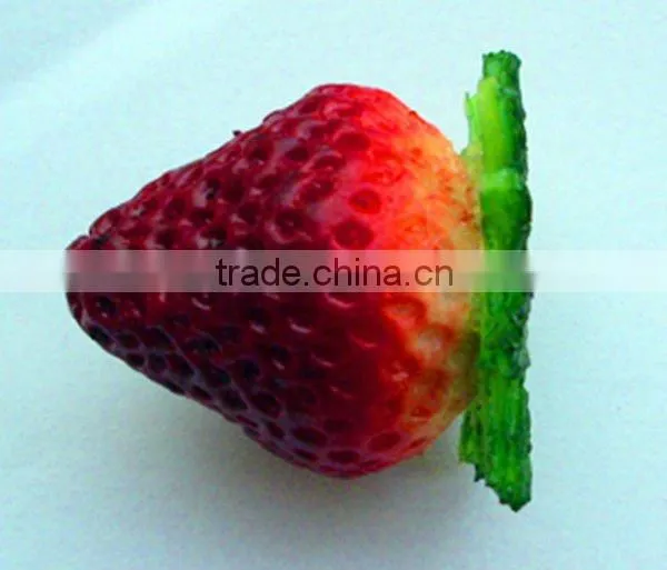 OEM USB making cheapest price USB Food series USB drive