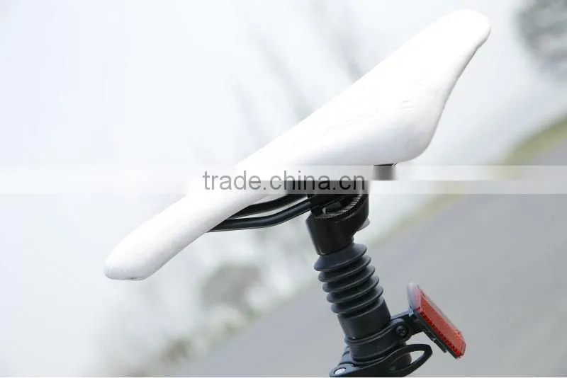 Seagull -China factory unique design EN14764 Bicycle e-bike middle motor