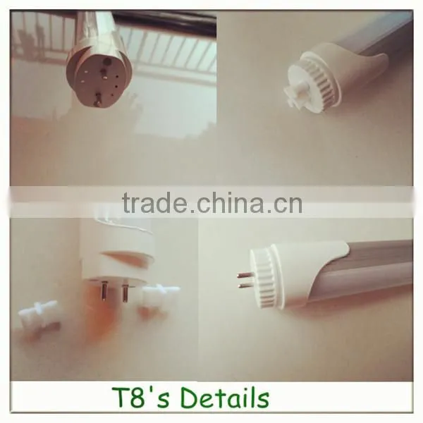neon tubes led